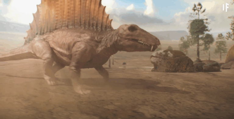 Hình ảnh mô tả các giai đoạn của Kỷ Permi