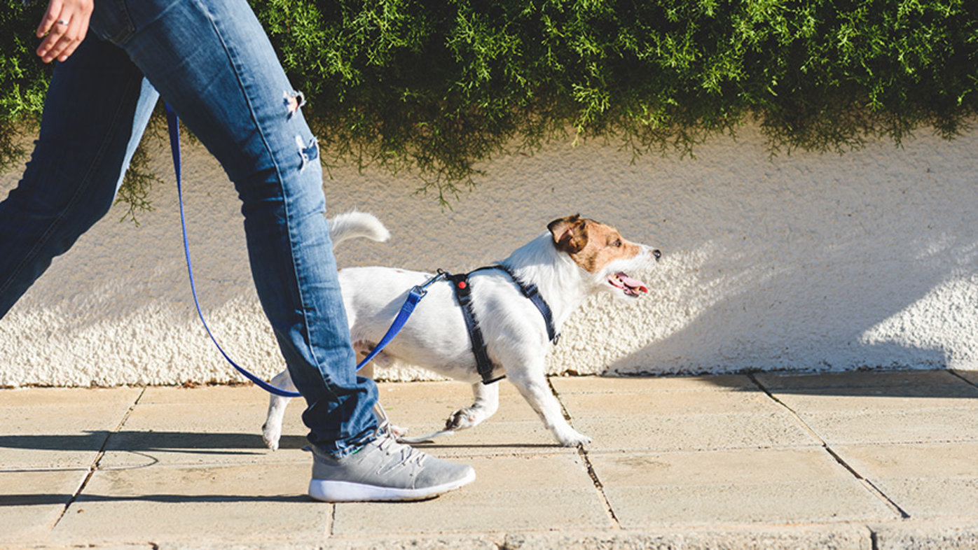 Người đàn ông đi bộ hàng ngày sau cơn đau tim