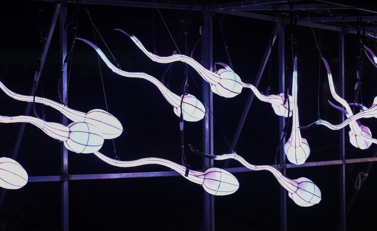 Robot tinh trùng dưới kính hiển vi