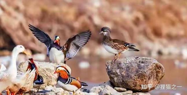 Khung cảnh yên bình tại làng Yijiawan bên sông Thanh Lượng