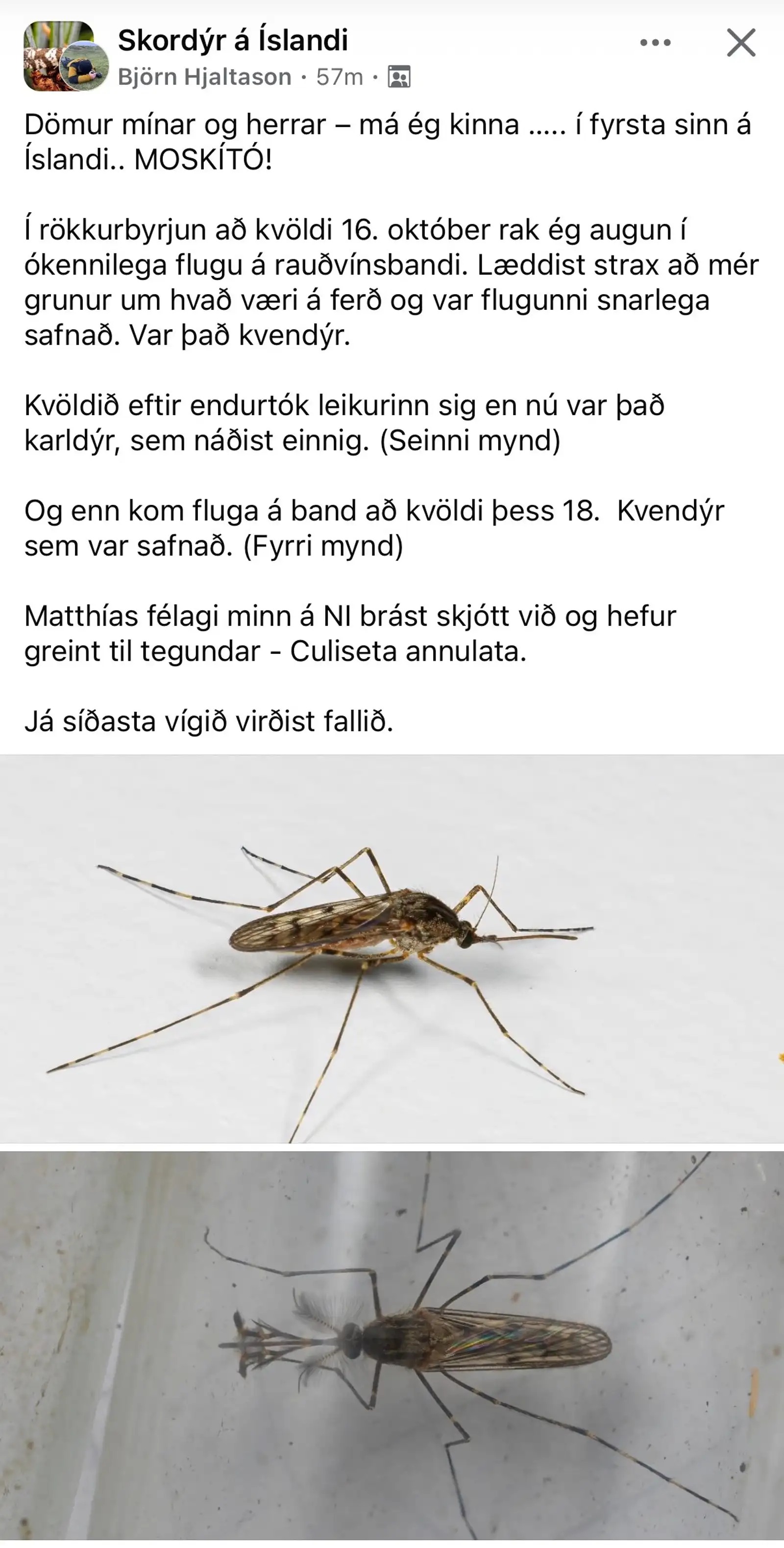 Bài đăng trên Facebook của ông Björn