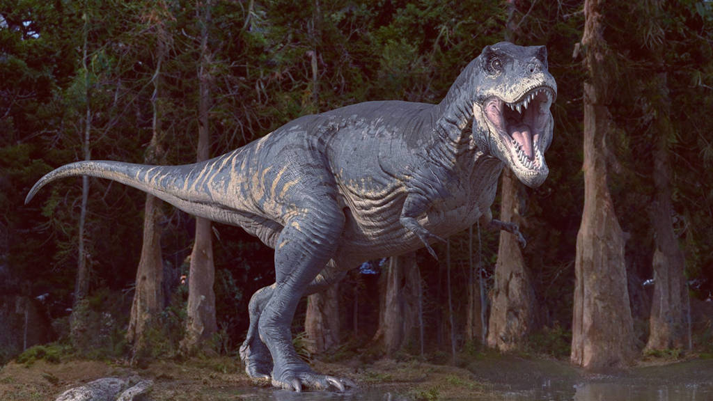 Huyết sắc tố Tyrannosaurus rex Mô mềm trong hóa thạch T. rex