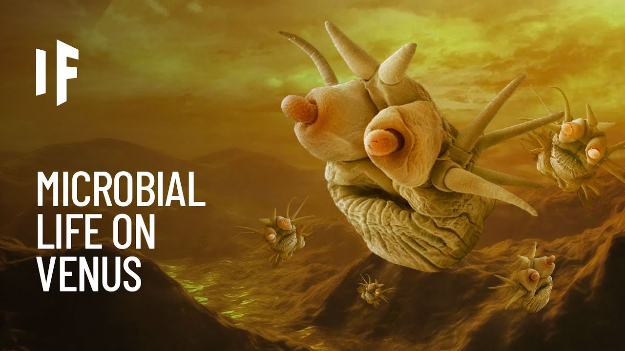 Sinh vật giả định trong lớp mây axit