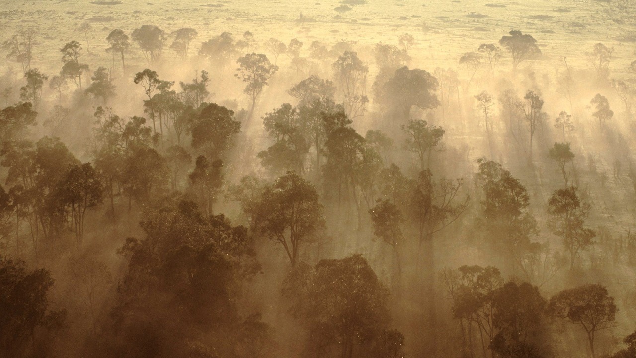 Hoạt động khai thác và phá rừng tại lưu vực Congo