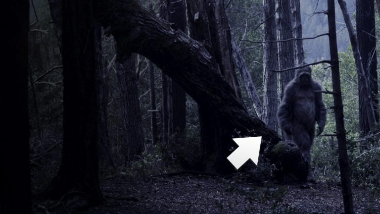 Điều gì sẽ xảy ra nếu Bigfoot thực sự tồn tại?- Ảnh 1. Bigfoot huyền thoại và sự bí ẩn